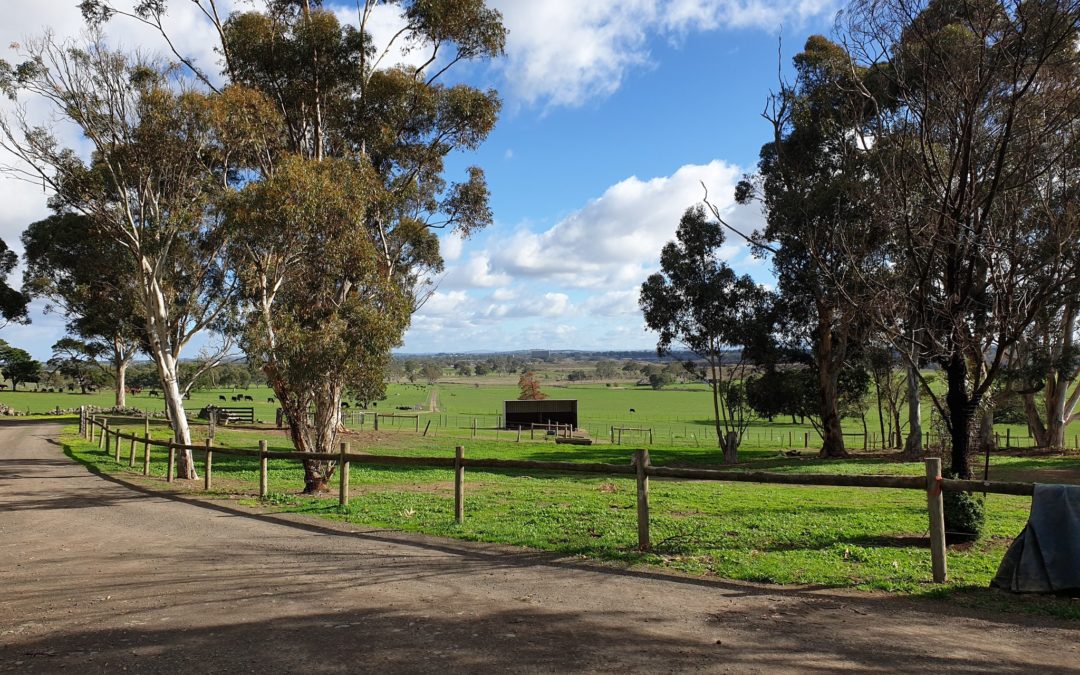 Collaborating with the Melbourne Arboretum